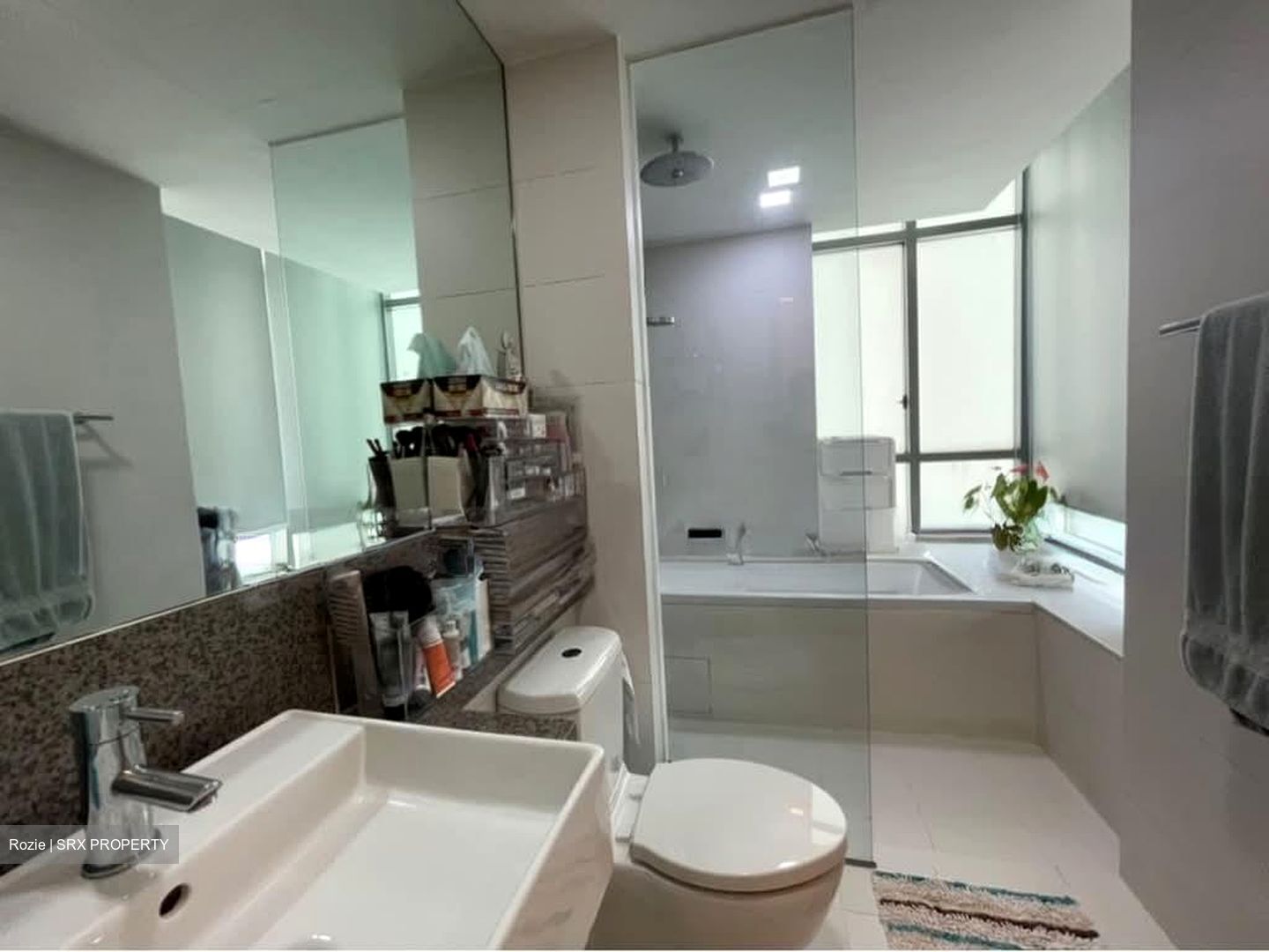 Oasis Garden (D19), Condominium #577680761
